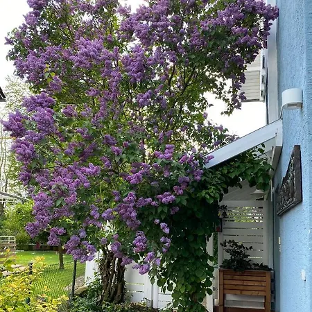 Ferienwohnung Blaues Haus Niederdorfelden Exterior foto