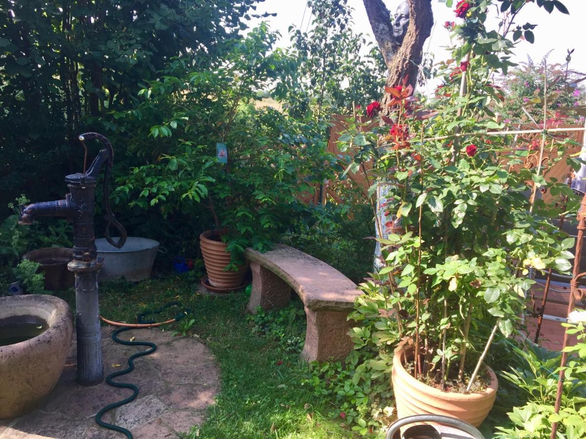 Blaues Haus Appartement