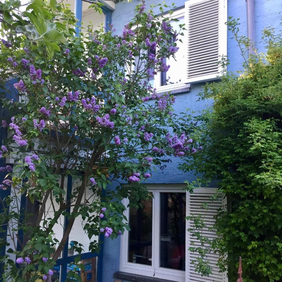 Appartement Blaues Haus *